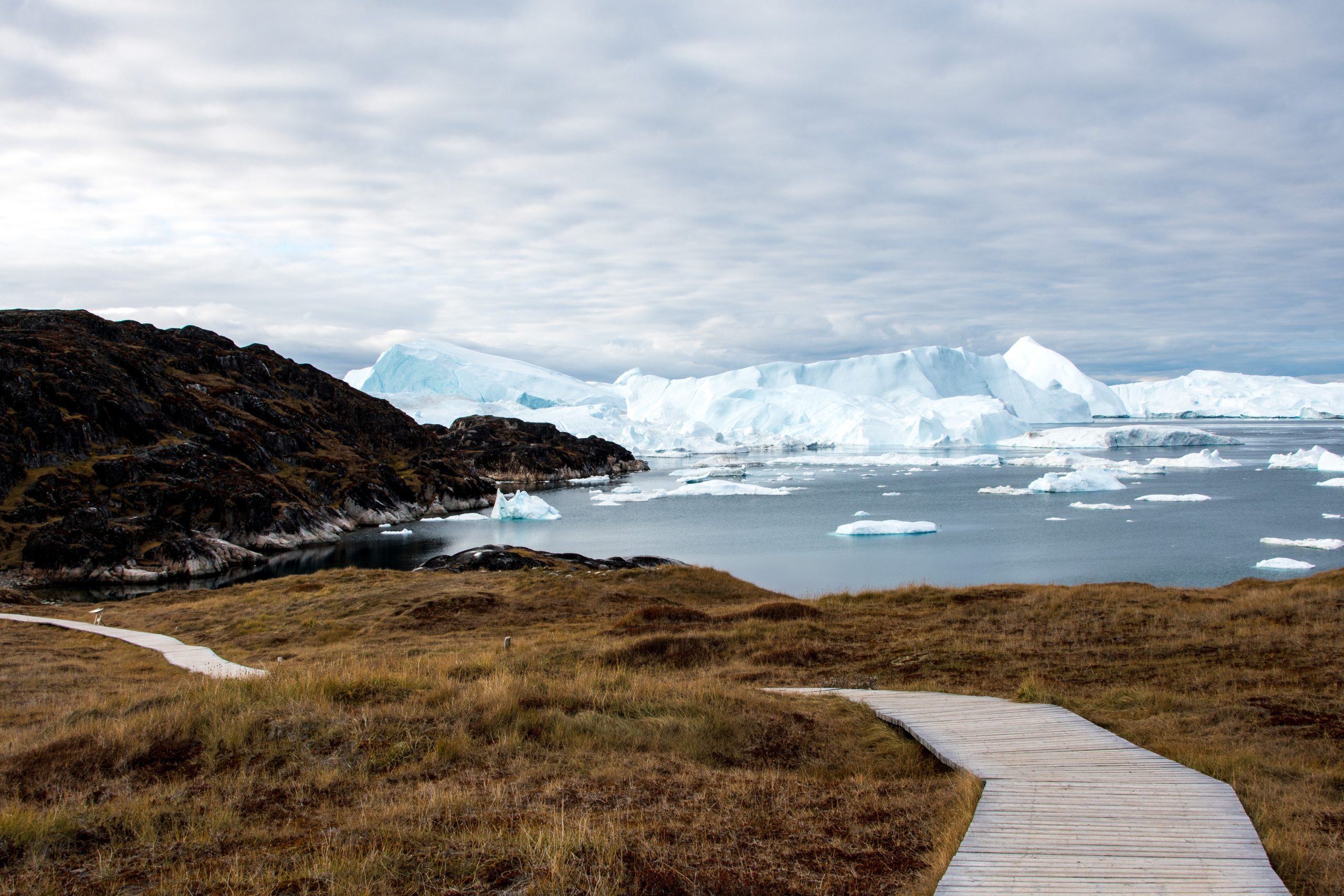 A boardwalk on the tundra with icebergs in the distance.