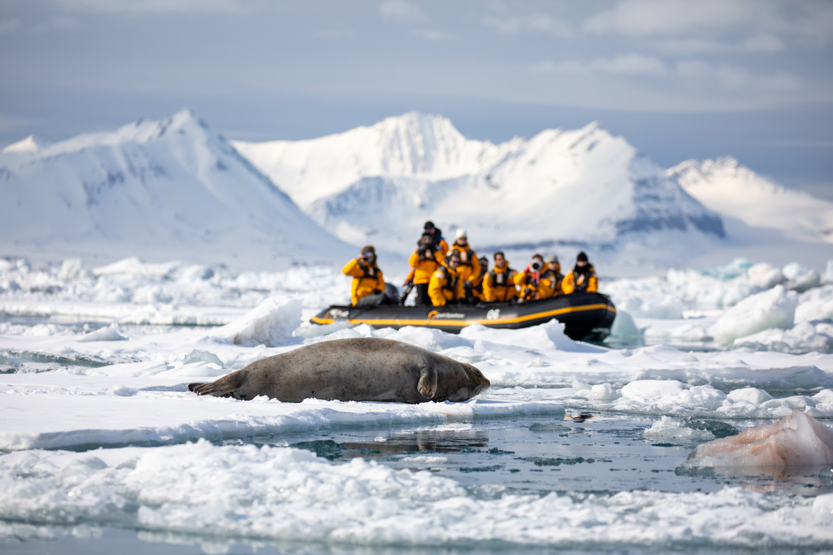 A zodiac full of guests near a seal on an ice floe.